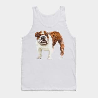 english bulldog Tank Top